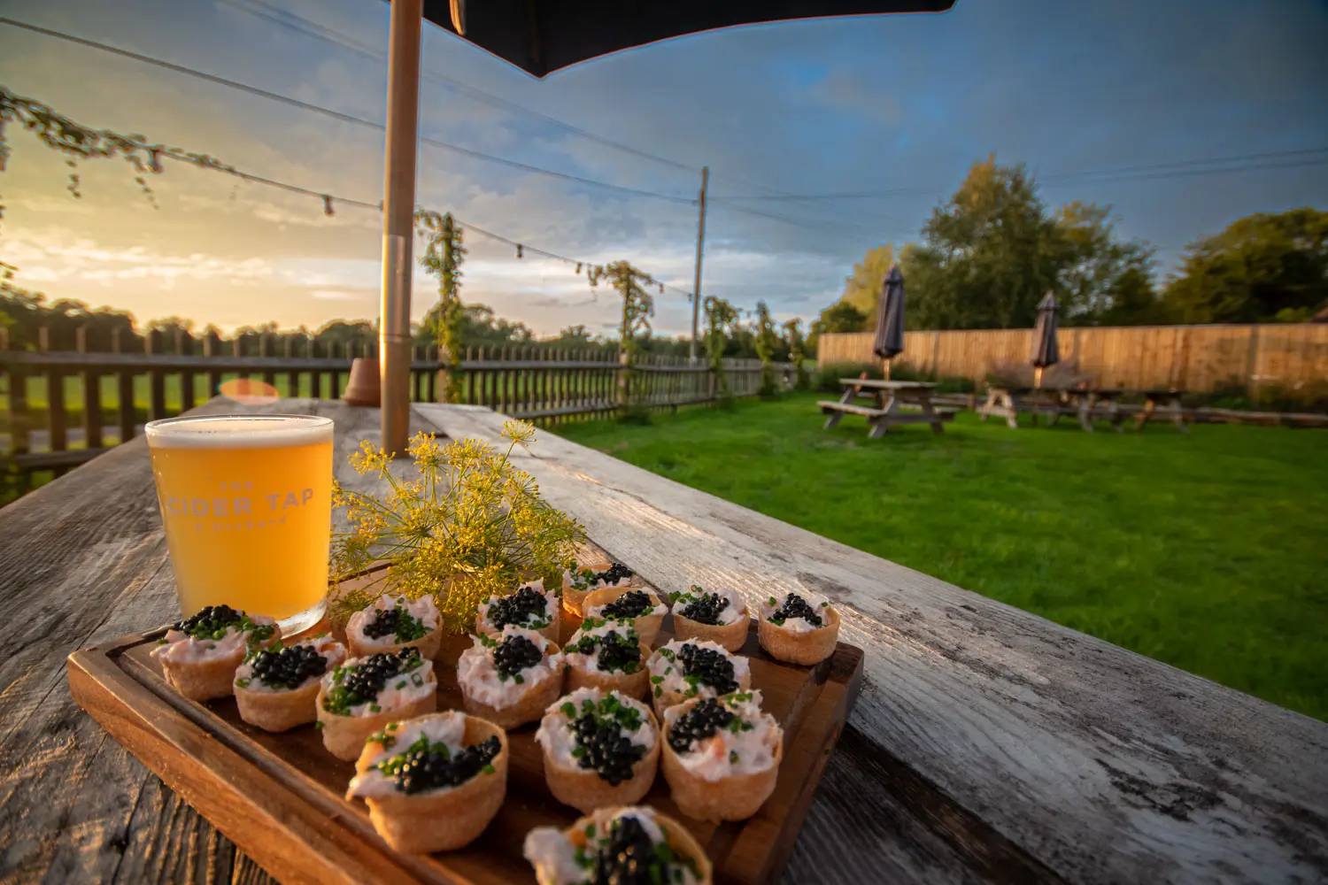 A promo photograph taken for a local business showing canapes and a pint of larger